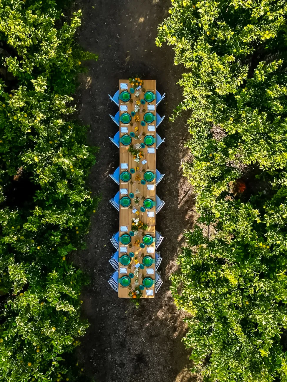 mesa posta em meio a laranjal