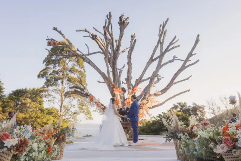 imagem 14 fornecedor: History Produtora