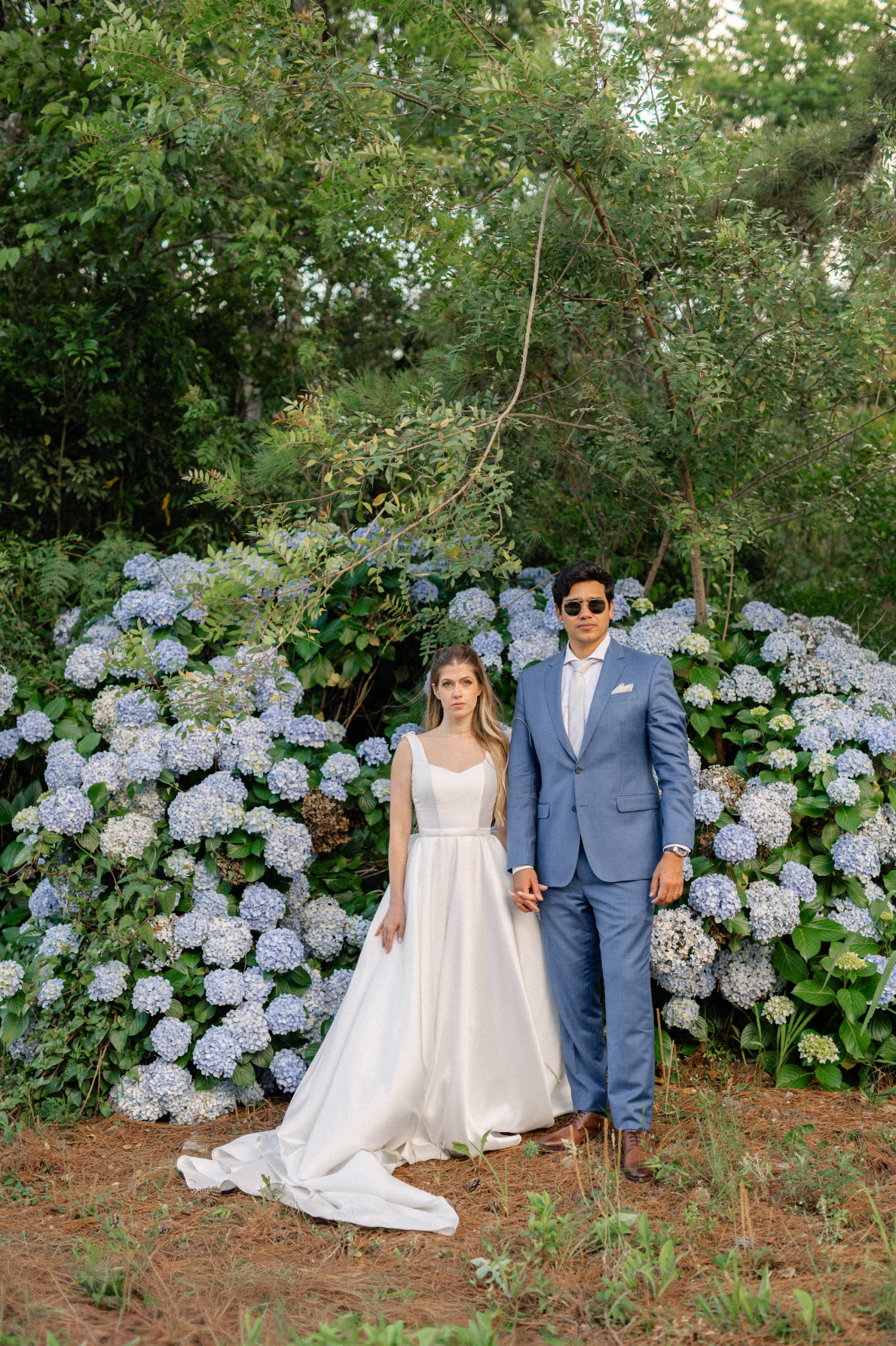 nivos na frente de hortensias