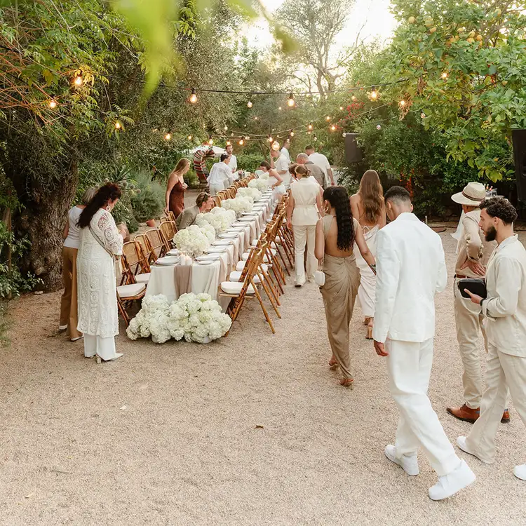 micro wedding no domingo 