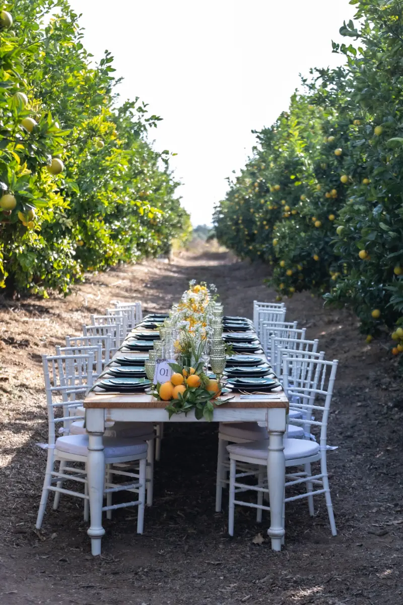 imagem 7 fornecedor: Karla Guedes – Party Planner