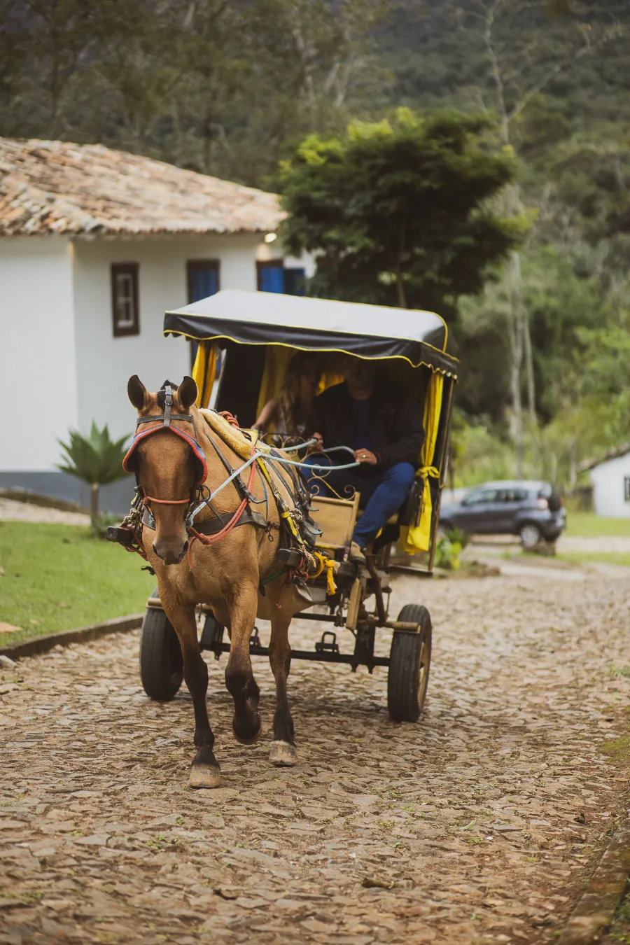chegada da noiva em charrete em minas gerais
