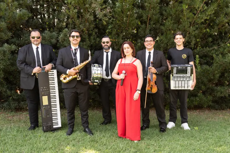imagem 10 fornecedor: Limart Musical